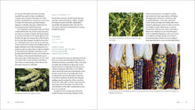 Load image into Gallery viewer, Front Cover