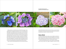 Load image into Gallery viewer, Front Cover