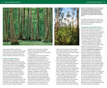 Load image into Gallery viewer, Front Cover