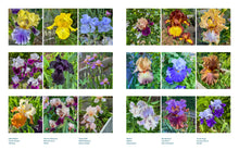 Load image into Gallery viewer, Front Cover