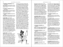 Load image into Gallery viewer, Front Cover
