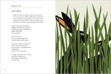 Load image into Gallery viewer, Front Cover