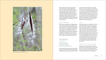 Load image into Gallery viewer, Front Cover