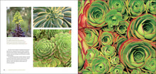 Load image into Gallery viewer, Front Cover