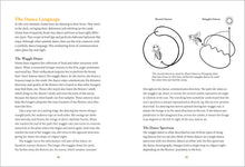 Load image into Gallery viewer, Front Cover