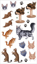 Load image into Gallery viewer, Front Cover