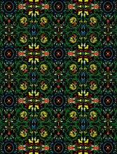 Load image into Gallery viewer, Front Cover
