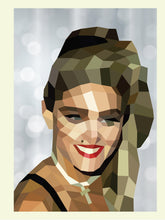Load image into Gallery viewer, Front Cover