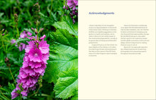 Load image into Gallery viewer, Front Cover