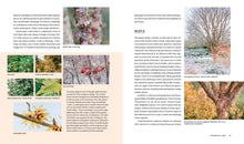 Load image into Gallery viewer, Front Cover