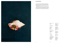 Load image into Gallery viewer, Front Cover