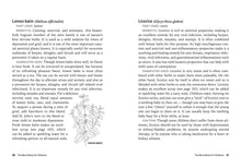 Load image into Gallery viewer, Front Cover
