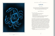 Load image into Gallery viewer, Front Cover
