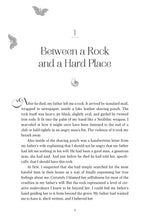 Load image into Gallery viewer, Front Cover
