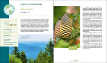 Load image into Gallery viewer, Front Cover
