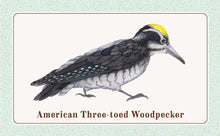 Load image into Gallery viewer, Front Cover
