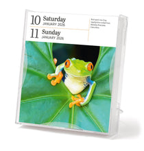 Load image into Gallery viewer, Front Cover
