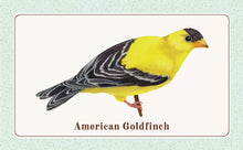 Load image into Gallery viewer, Front Cover
