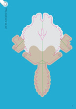 Load image into Gallery viewer, Front Cover
