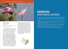 Load image into Gallery viewer, Front Cover
