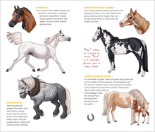 Load image into Gallery viewer, Front Cover
