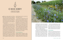 Load image into Gallery viewer, Front Cover
