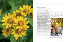 Load image into Gallery viewer, Front Cover
