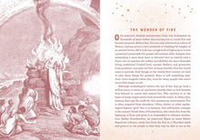 Load image into Gallery viewer, Front Cover
