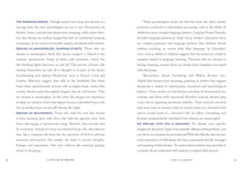 Load image into Gallery viewer, Front Cover
