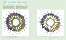 Load image into Gallery viewer, Front Cover
