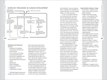 Load image into Gallery viewer, Front Cover
