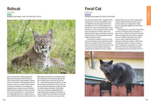 Load image into Gallery viewer, Front Cover
