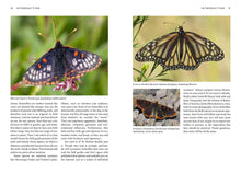 Load image into Gallery viewer, Front Cover
