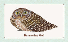 Load image into Gallery viewer, Front Cover
