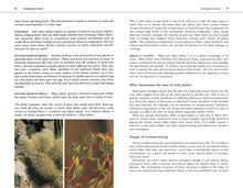 Load image into Gallery viewer, Front Cover
