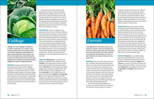 Load image into Gallery viewer, Front Cover
