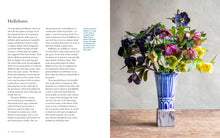 Load image into Gallery viewer, Front Cover
