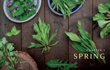 Load image into Gallery viewer, Front Cover
