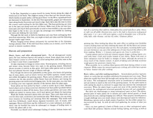 Load image into Gallery viewer, Front Cover
