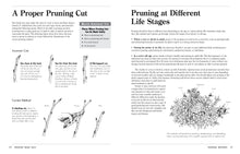 Load image into Gallery viewer, Front Cover
