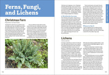 Load image into Gallery viewer, Front Cover
