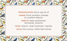 Load image into Gallery viewer, Front Cover
