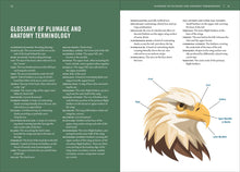 Load image into Gallery viewer, Front Cover
