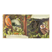 Load image into Gallery viewer, Front Cover
