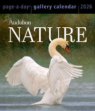 Load image into Gallery viewer, Front Cover
