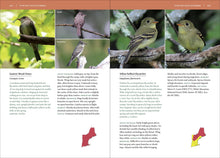 Load image into Gallery viewer, Front Cover
