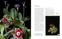 Load image into Gallery viewer, Front Cover
