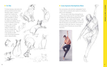 Load image into Gallery viewer, Front Cover
